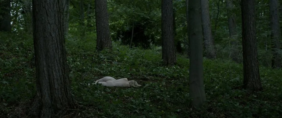 Frame 1