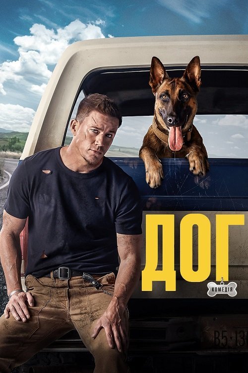 Дог