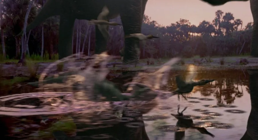 Frame 4