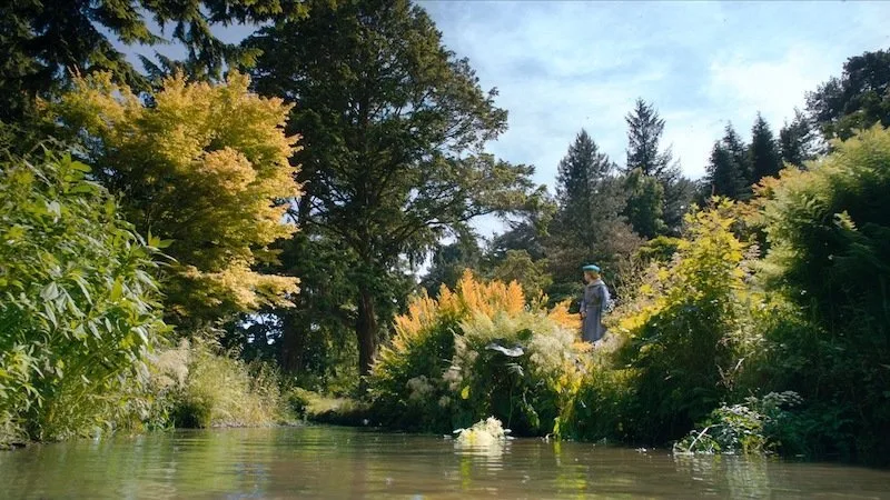 Frame 6