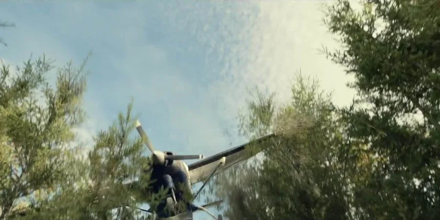 Frame 5