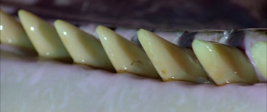 Кадр 3