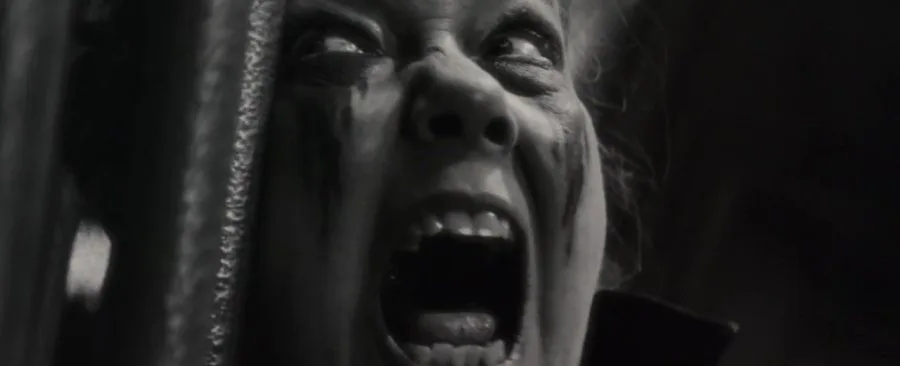 Frame 11