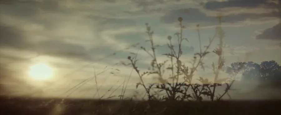 Frame 1