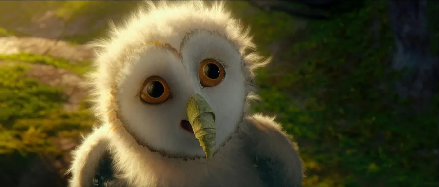 Frame 7