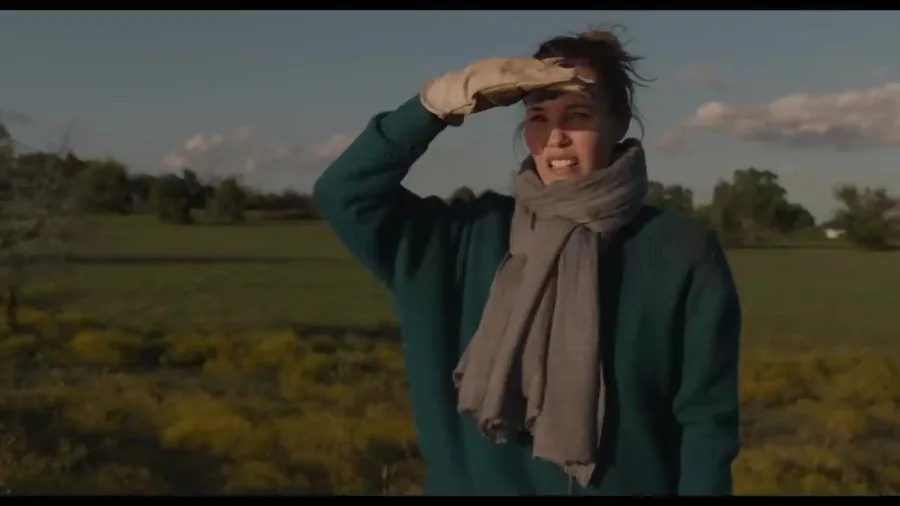 Frame 8