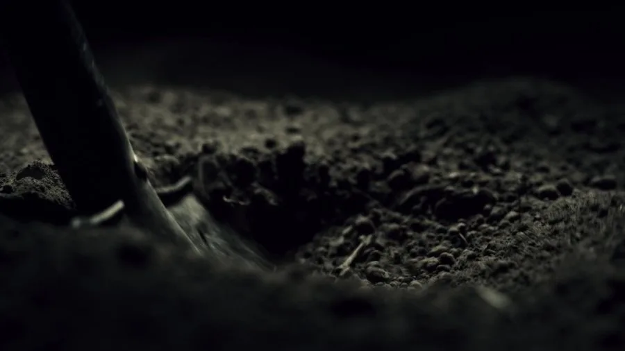 Frame 11