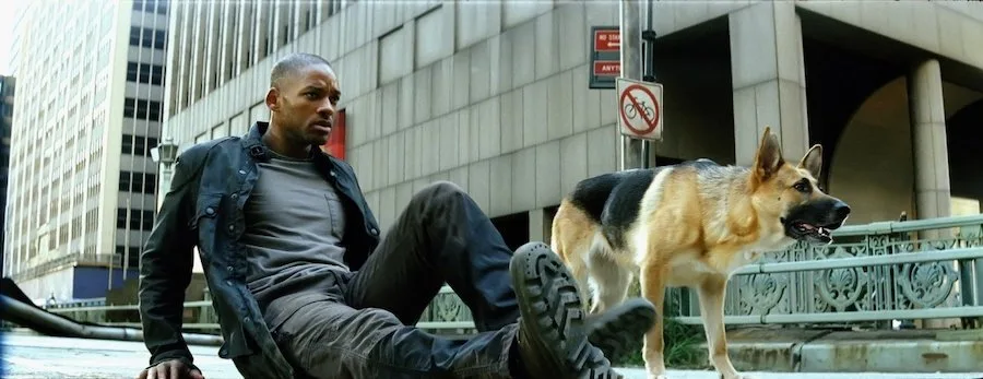 Кадр 4