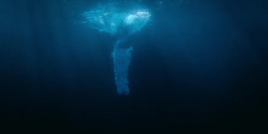 Frame 3