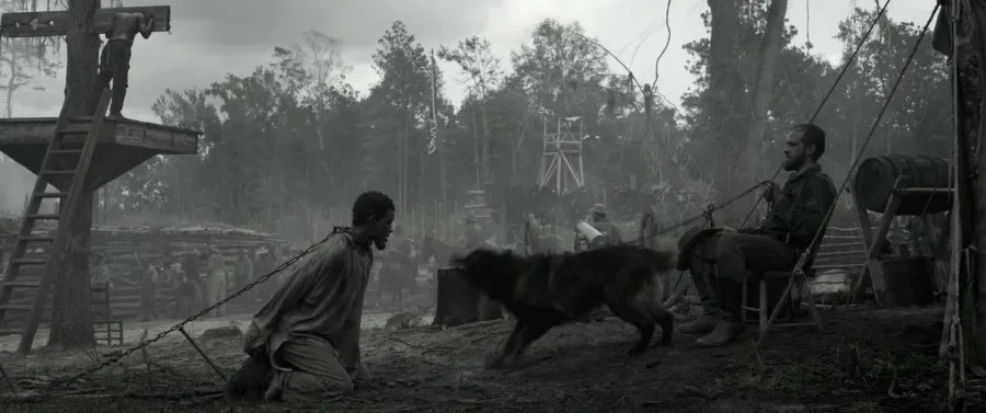 Frame 5
