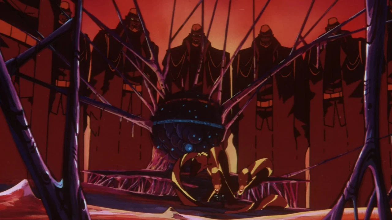 Frame 12