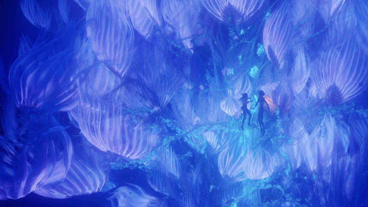 Frame 11
