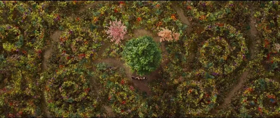 Frame 8