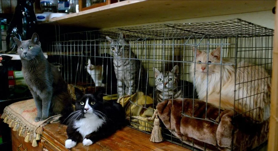 Frame 7