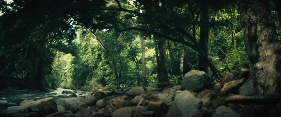 Frame 4