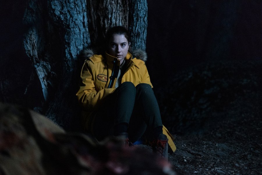 Кадр 1