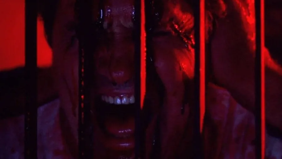 Frame 7