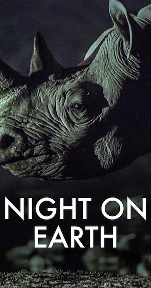 Night on Earth