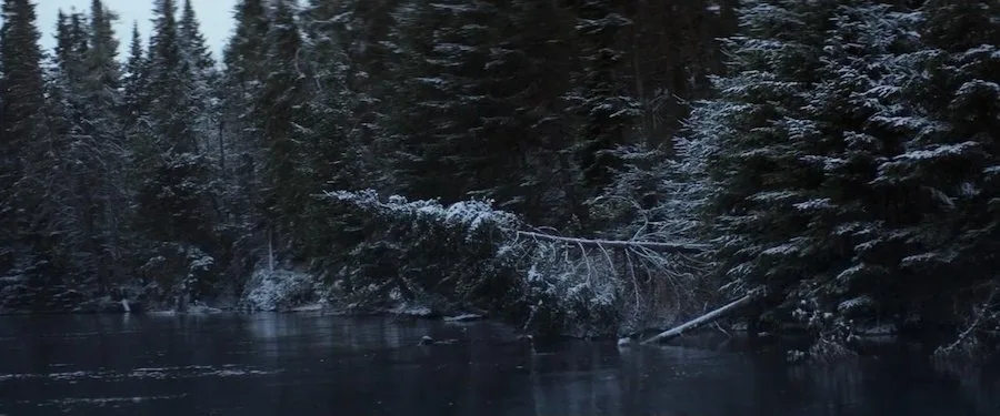 Frame 5