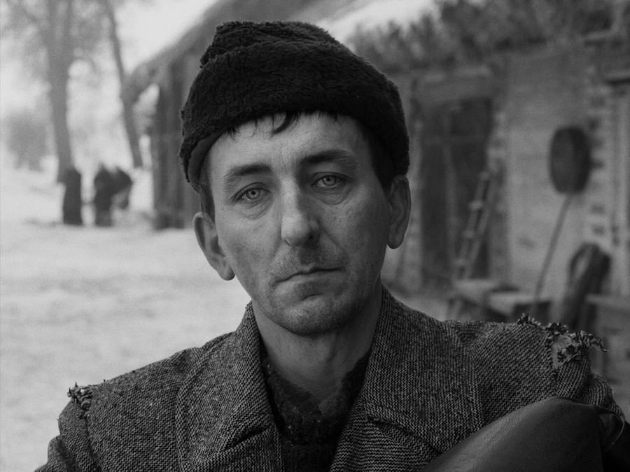 Кадр 5