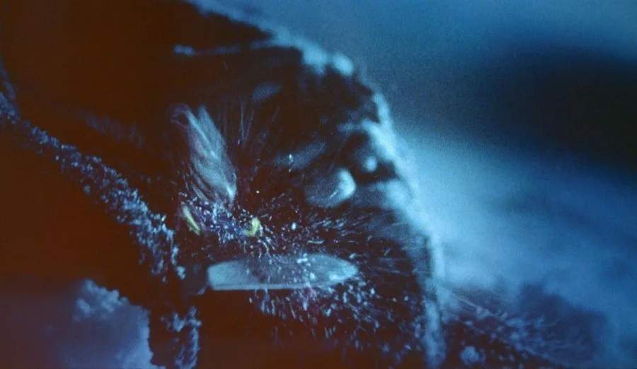 Frame 7