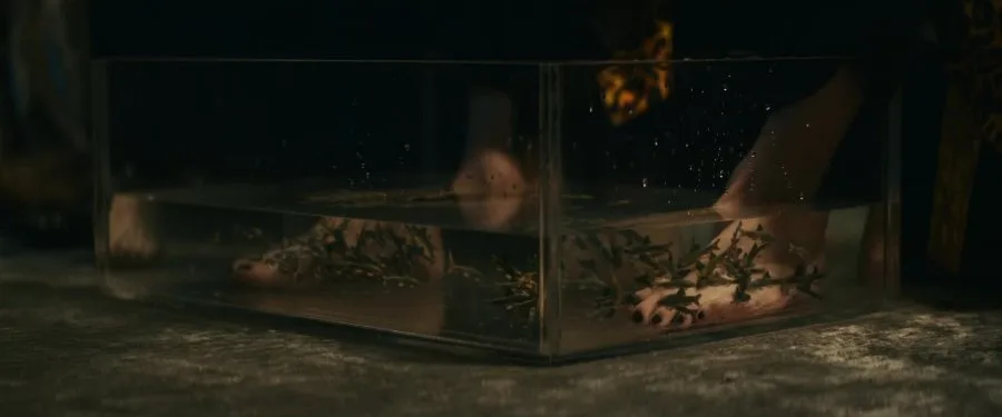 Frame 6