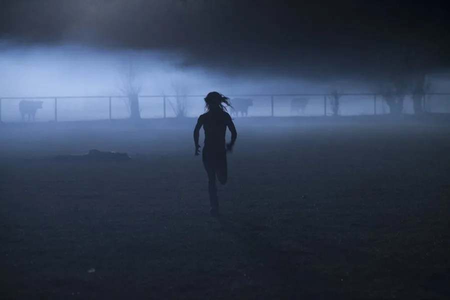 Frame 12