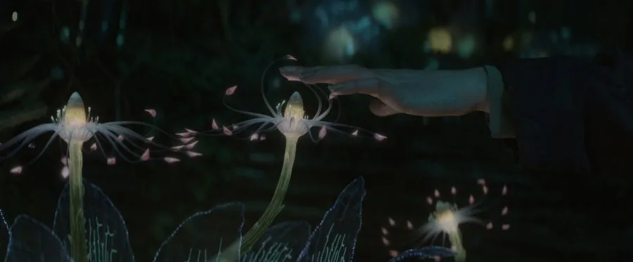 Frame 10