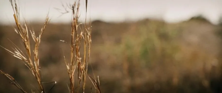 Frame 4