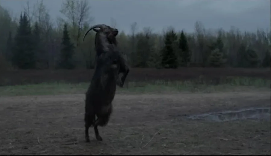 Frame 16