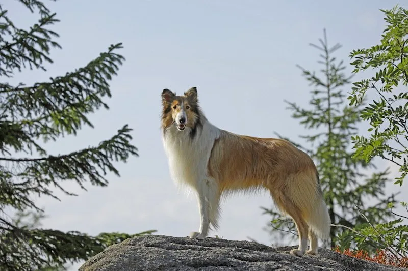 Кадр 3