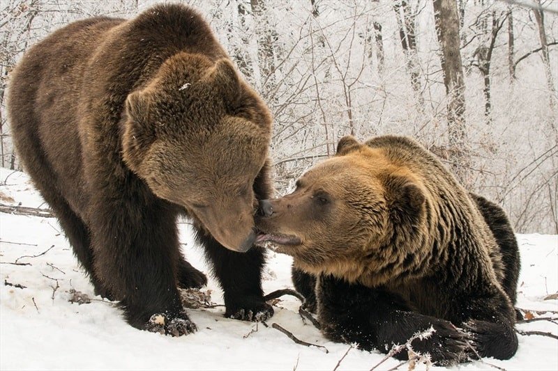 Кадр 3