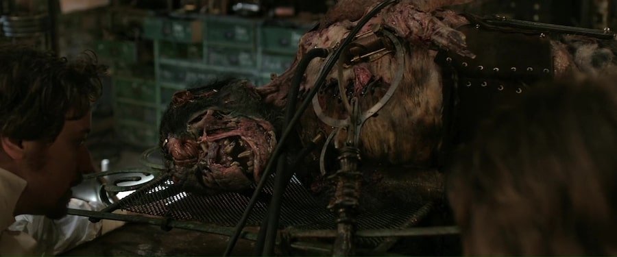 Кадр 5