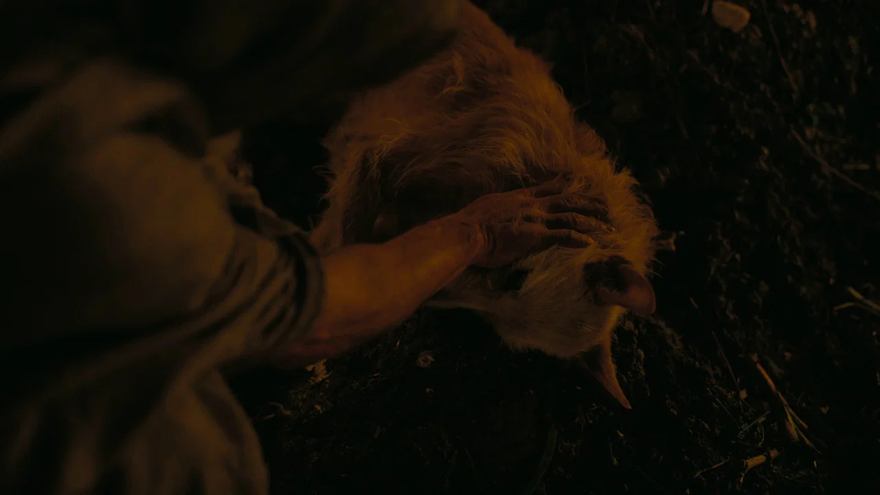 Frame 10