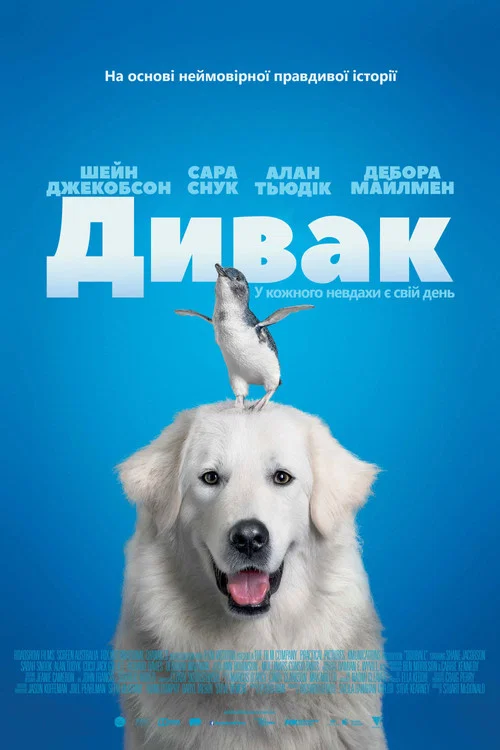 Чудак
