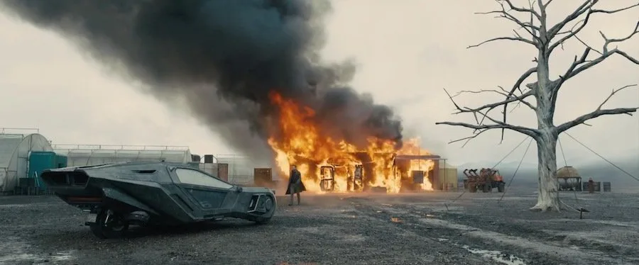 Frame 6