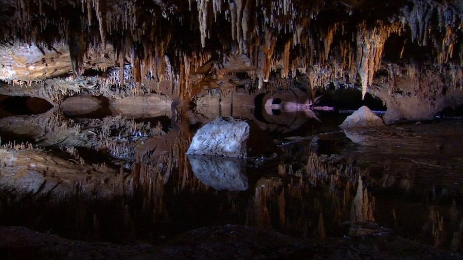 Кадр 5