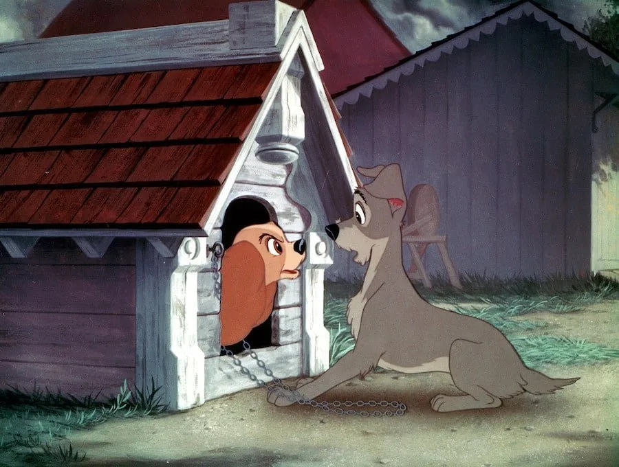 Frame 1