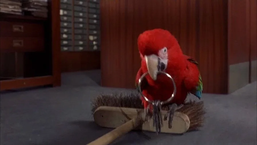 Frame 4
