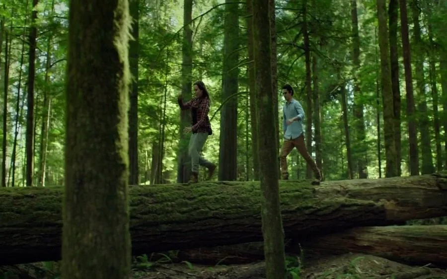 Frame 3