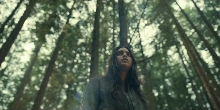 Frame 17