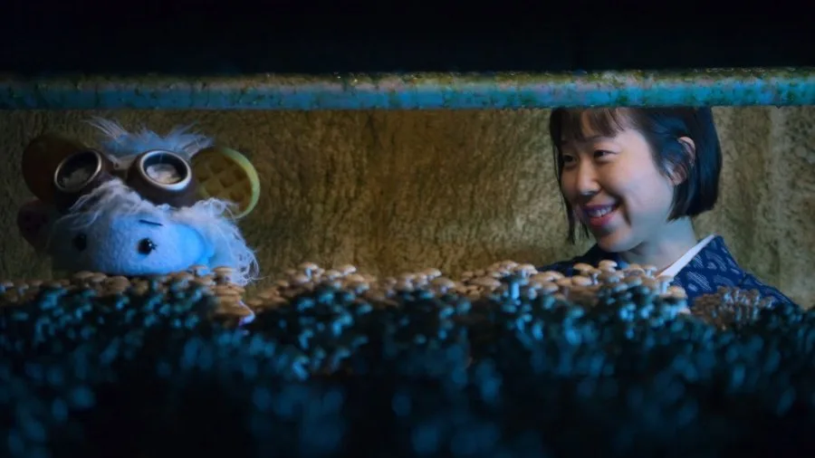 Frame 6