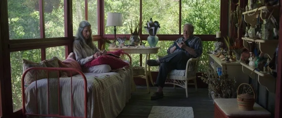Frame 6