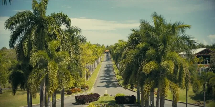 Frame 5