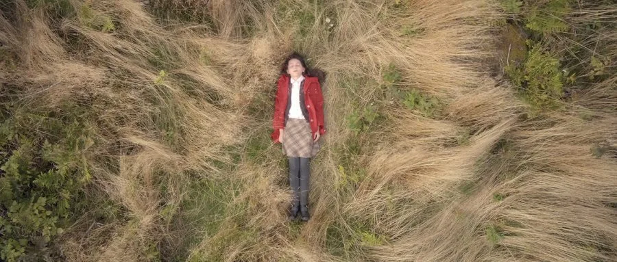 Frame 1