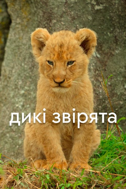Дикі звірята