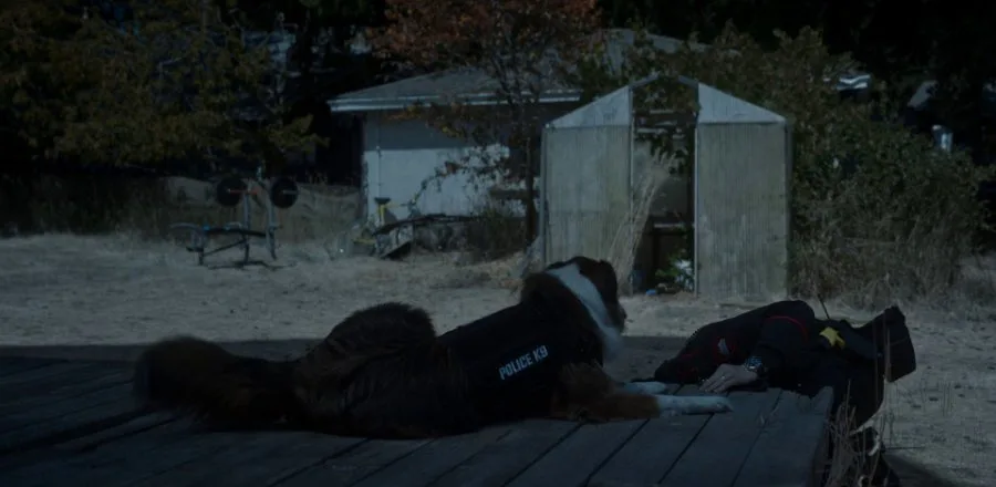 Frame 7