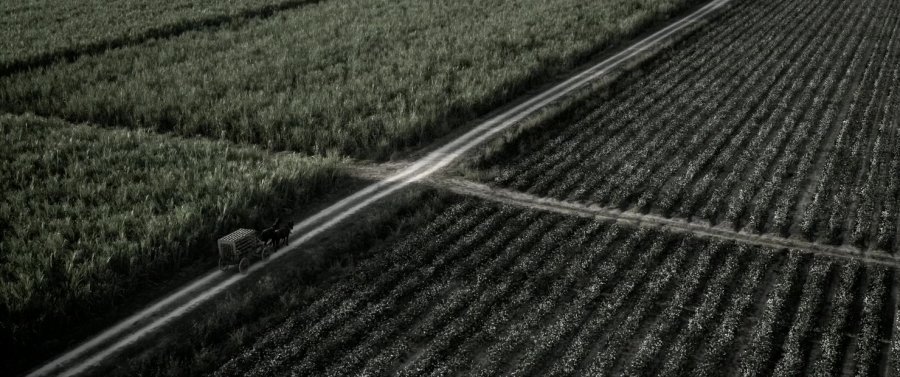Кадр 3