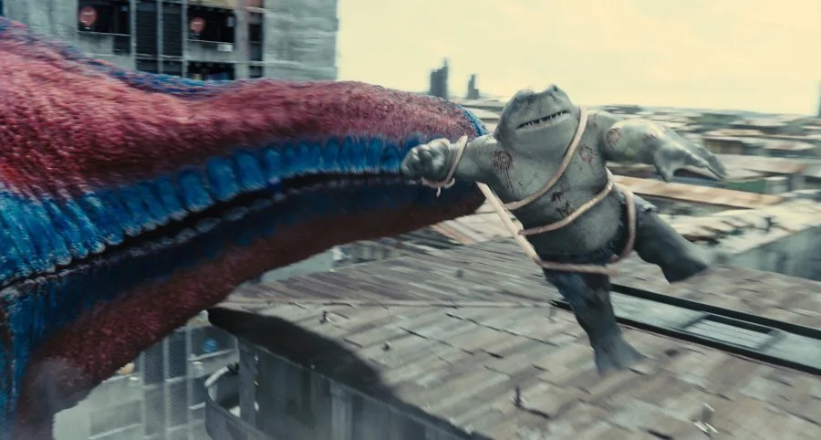 Frame 13