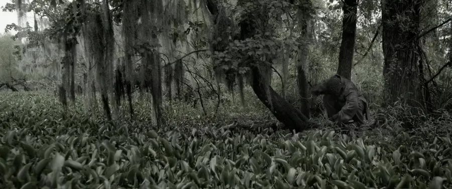 Frame 11